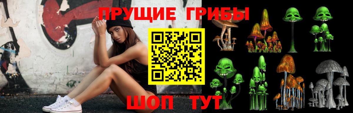Галлюциногенные грибы прущие грибы Обнинск